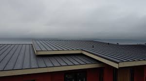 Best Rubber Roofing (EPDM, TPO)  in Round Lake Heights, IL